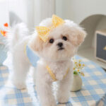 Cat and dog clothes summer thin breathable teddy than bear poodle pet mesh vest sling supplies clothes cute. - Image 2