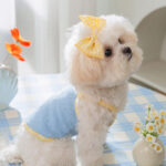 Cat and dog clothes summer thin breathable teddy than bear poodle pet mesh vest sling supplies clothes cute. - Image 3