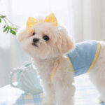 Cat and dog clothes summer thin breathable teddy than bear poodle pet mesh vest sling supplies clothes cute. - Image 4