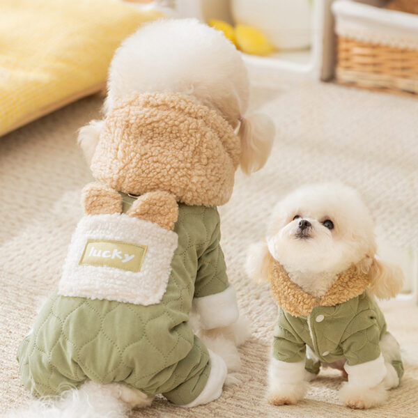 Warm clothing for pets