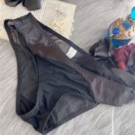 Sexy underwear ultra-thin breathable splicing mesh pure cotton crotch low waist briefs - Image 5