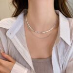 S925 Silver Necklace - A double-layer, light luxury, niche silver necklace with a high-end feel. The collarbone necklace won't fade