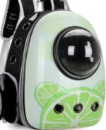 Pet cartoon design space capsule backpack, cat and dog carrier, pet carrier, suitable for hiking camping. - Image 2
