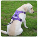 Dog chest back outdoor explosion-proof impact prevention escape dog leash Big dog chest back reflective anti-loss dog 。 - Image 6